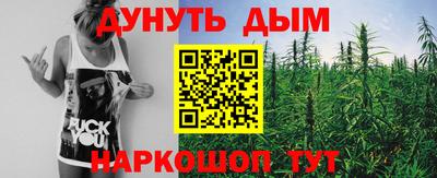 ешки Дубна