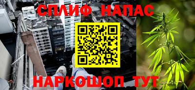 ешки Дубна