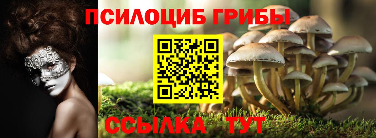 Псилоцибиновые грибы прущие грибы Малгобек